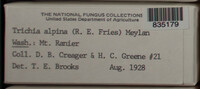 Image Associated With the Occurence